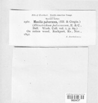 Image Associated With the Occurence
